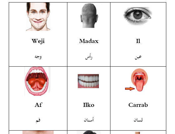 buugga ila baro soomaali waxaa qoray mumin alim (1)