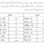 Buugga barashada af soomaaliga Somali learn book who titled learn Somali with me