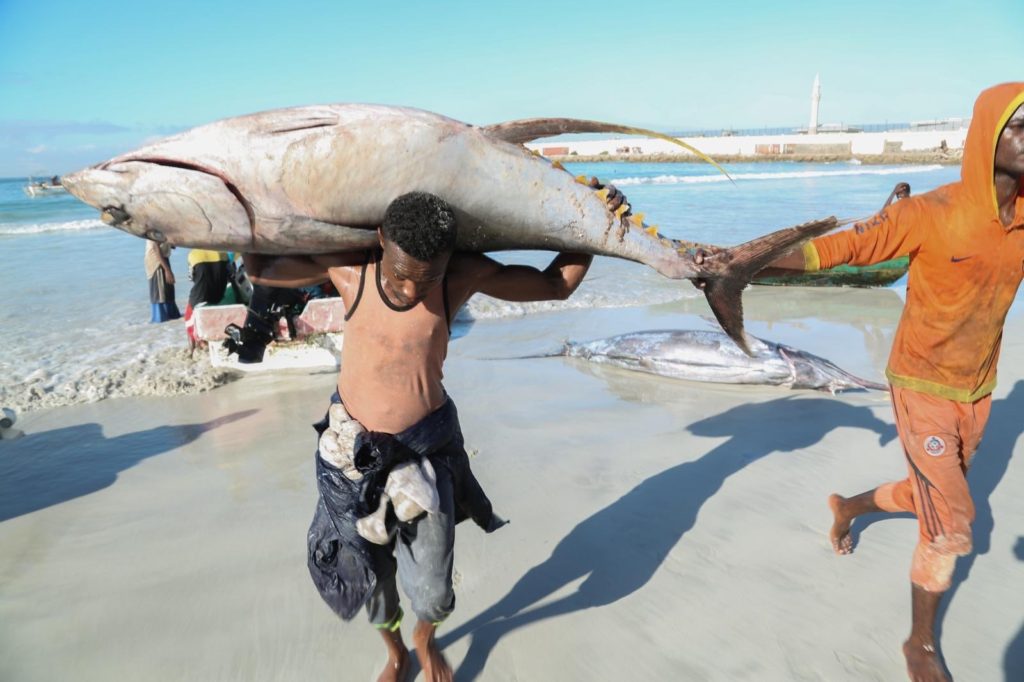 Somali one of the best country to hunting a fish