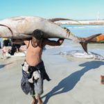 Somali one of the best country to hunting a fish