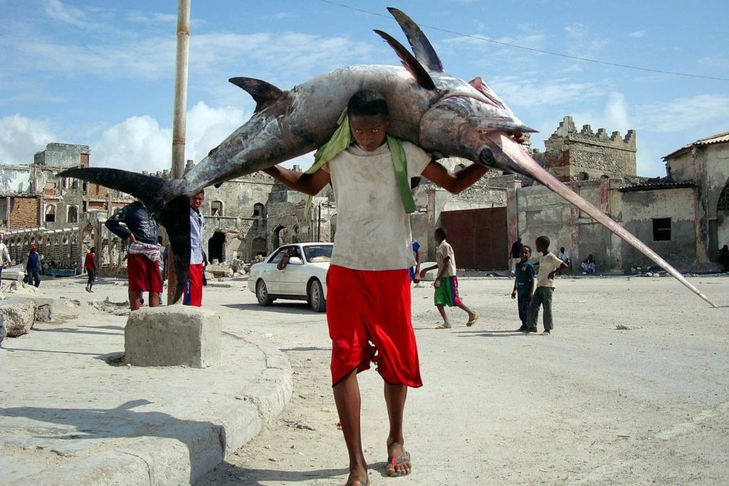 Somali one of the best country to hunting a fish