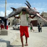 Somali one of the best country to hunting a fish