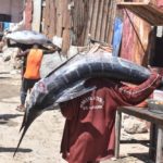 Somali one of the best country to hunting a fish