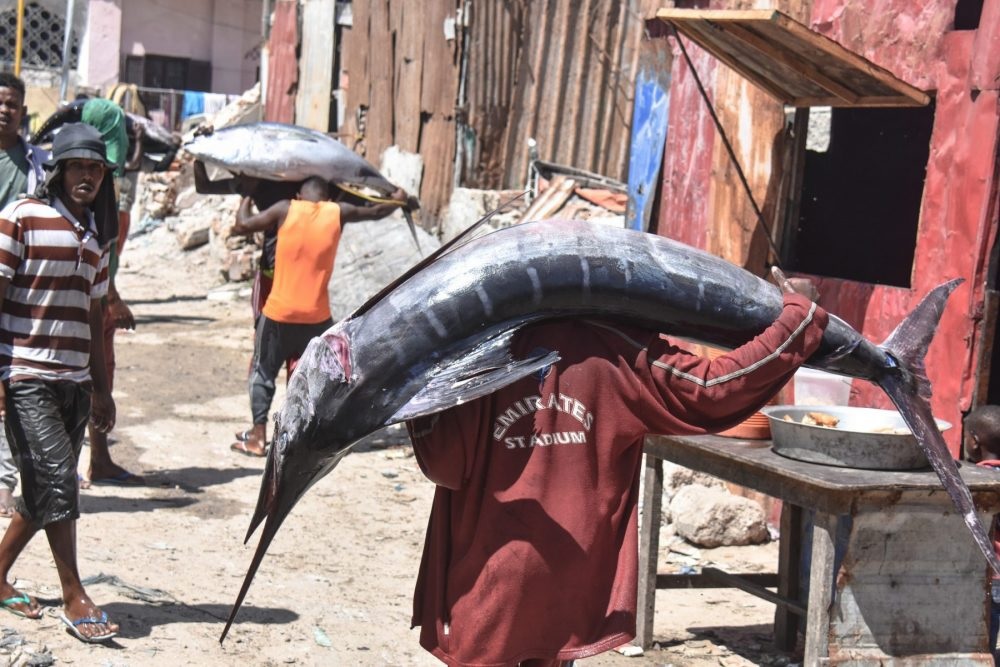 Somali one of the best country to hunting a fish