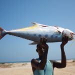 Somali one of the best country to hunting a fish