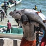 Somali one of the best country to hunting a fish