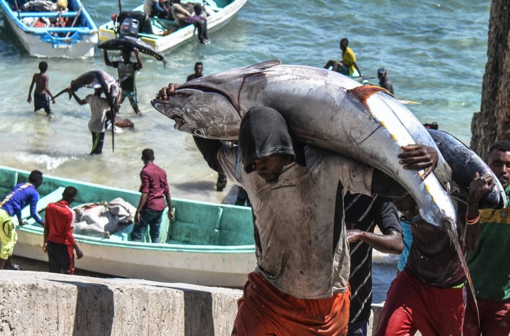 Somali one of the best country to hunting a fish