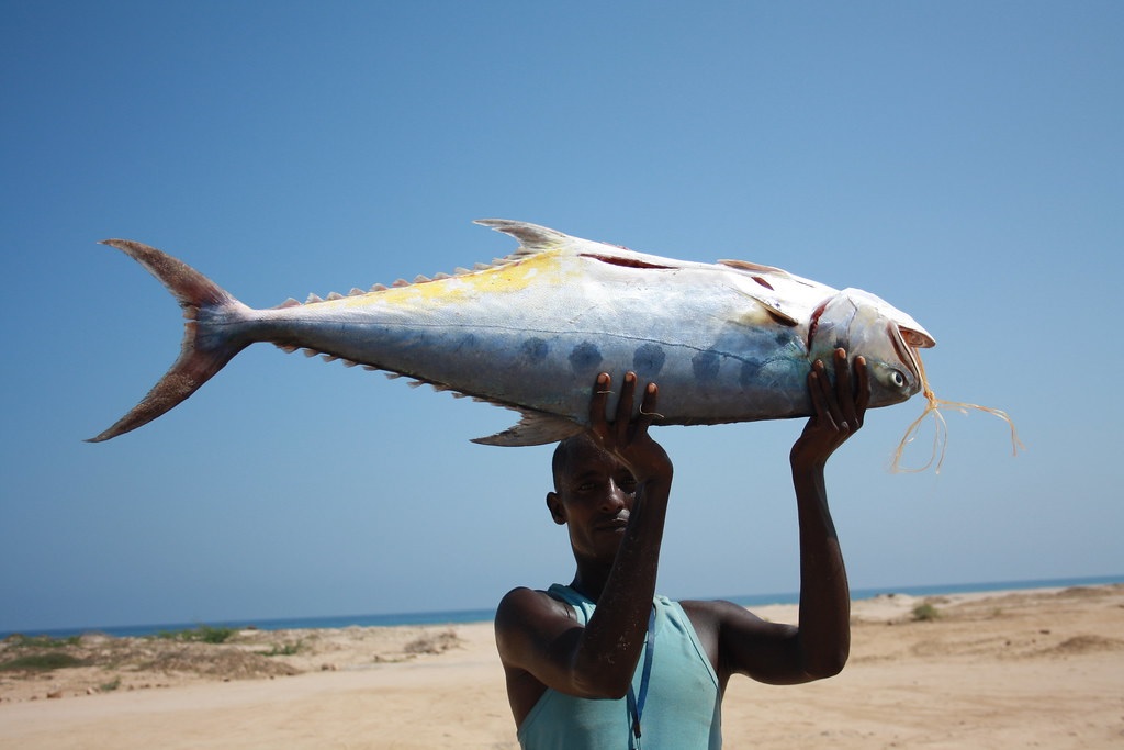 Somali one of the best country to hunting a fish