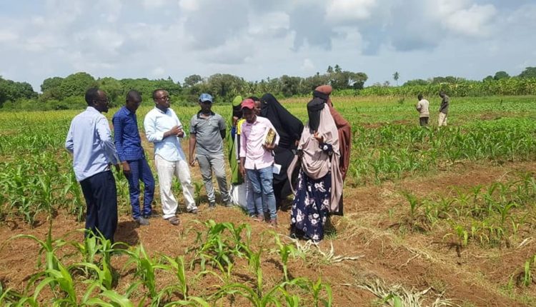 sawirada beeraha afgooye gabdho beeraley ah iyo wiilal (1)