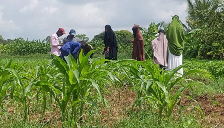 sawirada beeraha afgooye gabdho beeraley ah iyo wiilal (2)