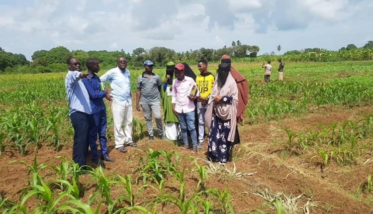 sawirada beeraha afgooye gabdho beeraley ah iyo wiilal (3)