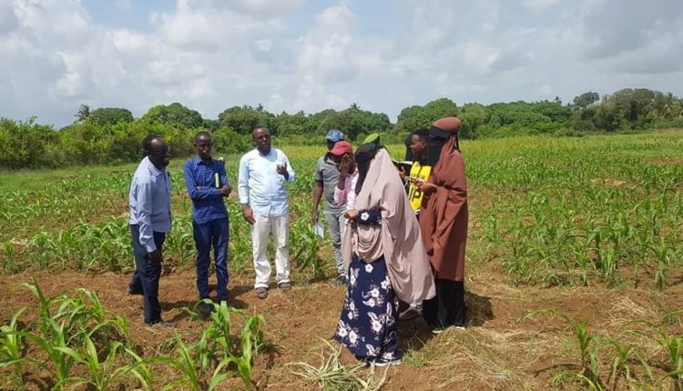 sawirada beeraha afgooye gabdho beeraley ah iyo wiilal (4)