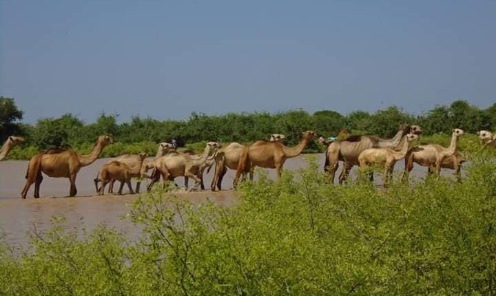 sawirada qurux badan eebeeraha dalka hooyo soomaaliya (2)