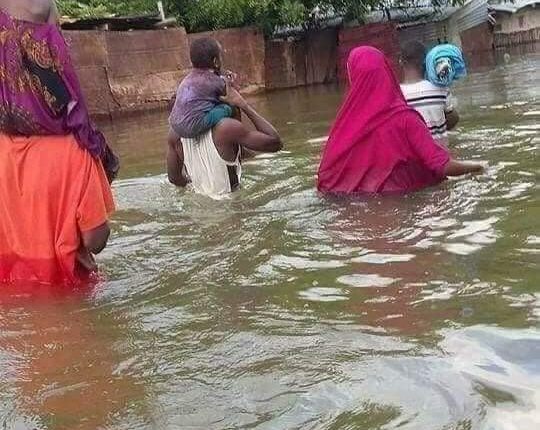 tayada daadadka biyaha baladweyne sawiro (2)