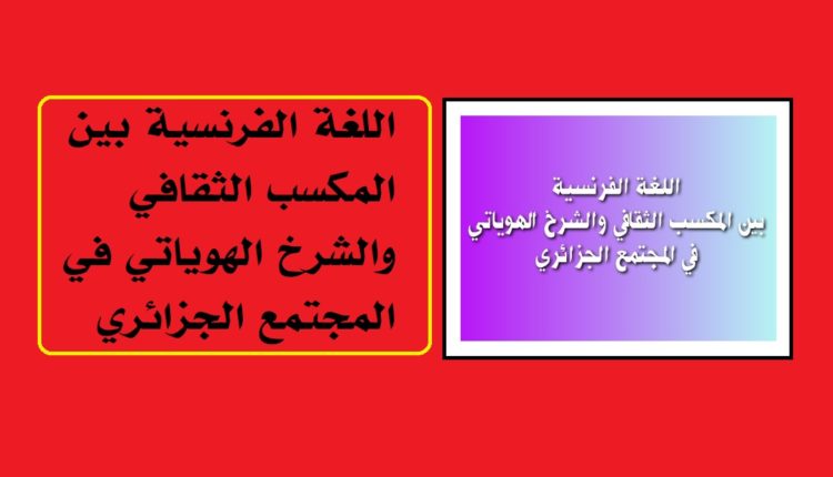 اللغة الفرنسية بين المكسب الثقافي والشرخ الهوياتي في المجتمع الجزائري2