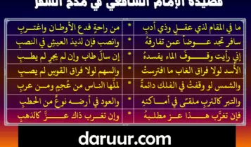 شعر الامام الشافعي عن السفر شعر الامام الشافعي عن السفر